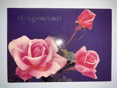 Лот: 19373483. Фото: 1. Открытка СССР 1987 Поздравляю. Открытки, конверты