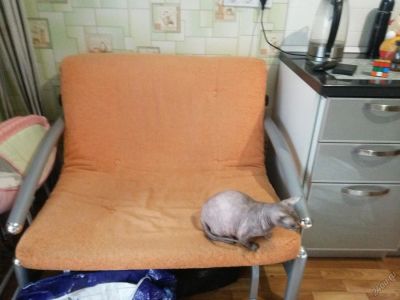 Лот: 5906942. Фото: 1. Диван раскладной. Диваны