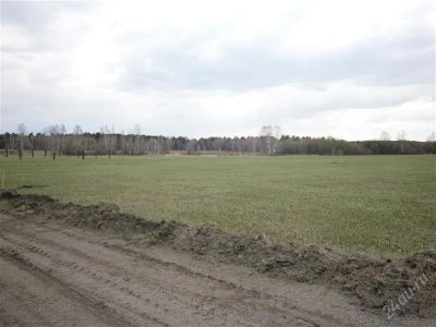 Лот: 1826468. Фото: 1. Продам 2 смежных участка в районе... Земельные участки