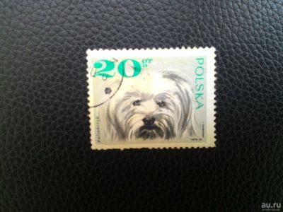Лот: 8187754. Фото: 1. марка Польша Собаки. Марки