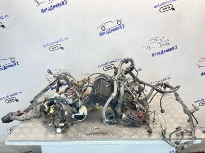 Лот: 25071918. Фото: 1. проводка подкапотная toyota corolla... Двигатель и элементы двигателя