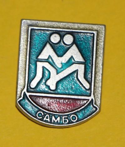 Лот: 7509583. Фото: 1. Знак: Самбо. Единоборства. (Пл... Сувенирные