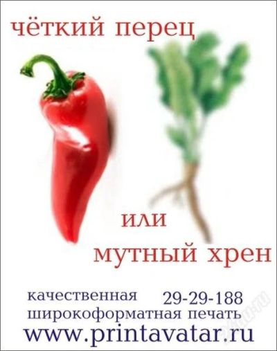Лот: 829900. Фото: 1. широкоформатная интерьерная печать. Разное