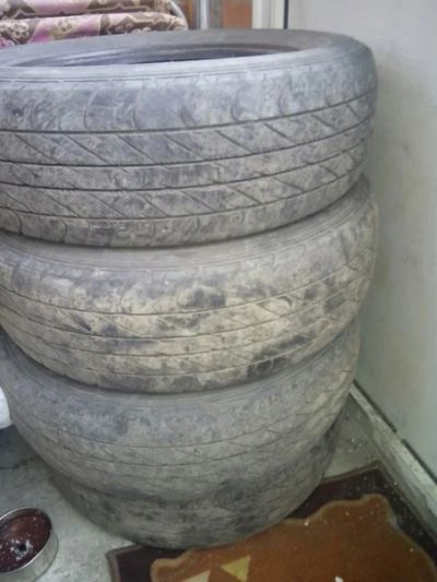 Лот: 5449656. Фото: 1. летняя резина Dunlop 185/65/r14. Шины