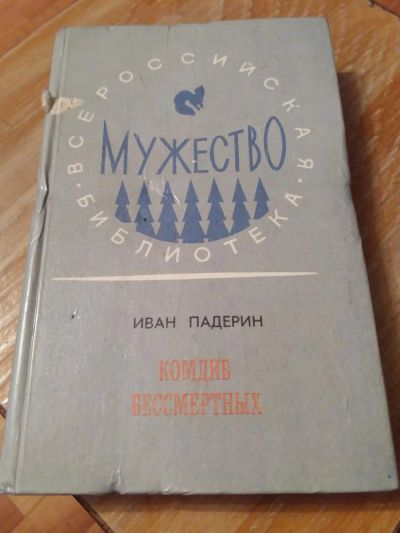 Лот: 9688586. Фото: 1. Иван Падерин «Комдив бессмертных... Художественная
