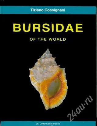 Лот: 2227889. Фото: 1. Bursidae. Раковина, ракушка. Другое (справочная литература)