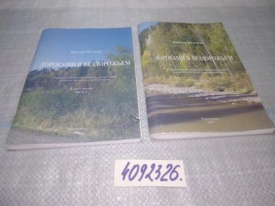 Лот: 25071833. Фото: 1. оз...(4092326) Виктор Иголкин... Художественная