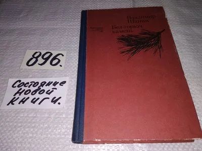 Лот: 5806903. Фото: 1. Oz. (4092312)Владимир Шанин, Бел-горюч... Художественная