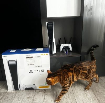 Лот: 21116884. Фото: 1. Sony PlayStation 5 (PS5). Игровые приставки, консоли