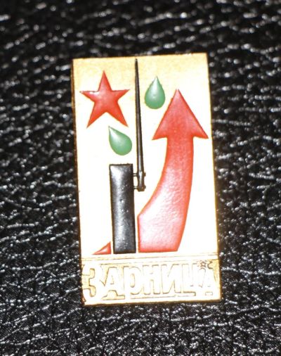 Лот: 3483708. Фото: 1. Знак Воено-спортивная игра Зарница... Сувенирные