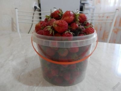 Лот: 5766819. Фото: 1. Клубника садовая - виктория, свежесобранная. Ягоды, орехи