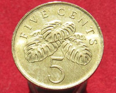 Лот: 15811452. Фото: 1. Сингапур 5 центов, 2005г. Остальные страны