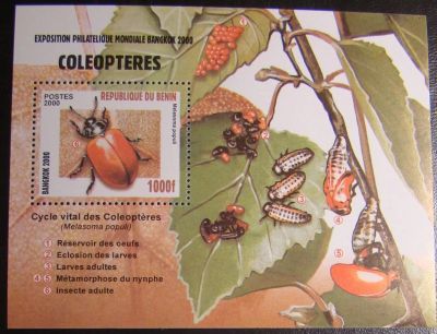 Лот: 10448958. Фото: 1. Бенин 2000 MNH бл. Марки
