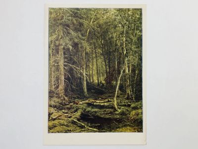 Лот: 23298377. Фото: 1. Шишкин И. И. Лесная глушь. Открытка... Открытки, конверты