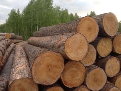 Лот: 12665435. Фото: 1. Куплю круглый лес, пиловочник... Древесина, пиломатериал