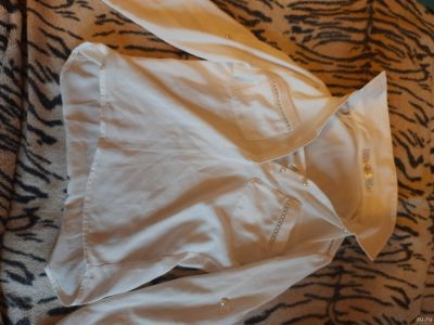 Лот: 18272931. Фото: 1. Блузка DELoras. Рубашки, блузки, водолазки
