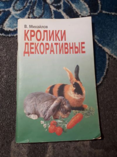 Лот: 21772585. Фото: 1. Михайлов Кролики декоративные... Домашние животные