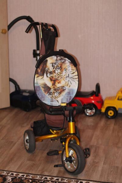 Лот: 10647041. Фото: 1. велосипед family trike тигр. Красноярск