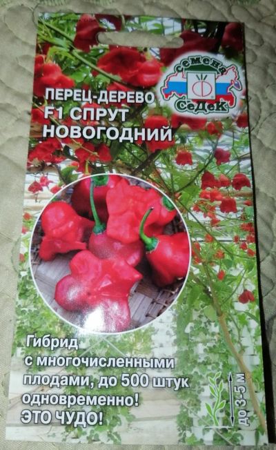 Лот: 25028844. Фото: 1. Перец дерево Спрут новогодний... Другое (комнатные растения и уход)