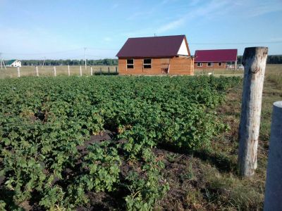 Лот: 12244638. Фото: 1. Дом(недострой). Дома