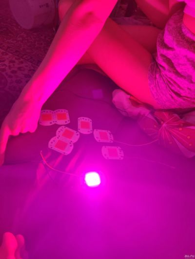 Лот: 15882018. Фото: 1. LED фитосветодиод (фитолампа... Светодиоды
