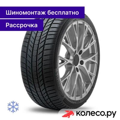 Лот: 25101936. Фото: 1. WinterContact TS 870 P 255/40... Шины
