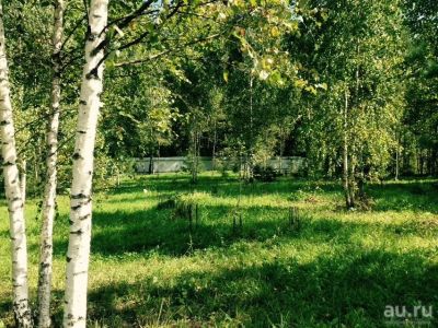 Лот: 16138389. Фото: 1. Земельный участок 10 сот. СНТ... Земельные участки