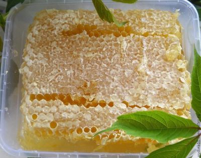Лот: 10533752. Фото: 1. Горный мёд. Мёд, продукты пчеловодства