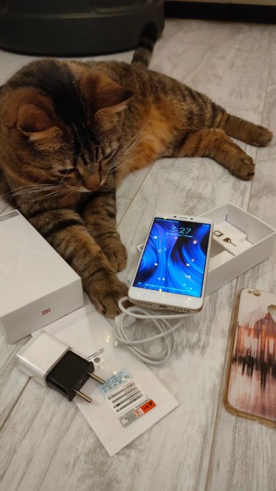 Лот: 17131785. Фото: 1. Телефон Xiaomi Redmi 4X 2/16Gb. Смартфоны
