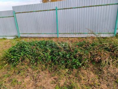 Лот: 25770388. Фото: 1. участок , деревня Объединение... Земельные участки