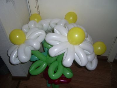Лот: 3428114. Фото: 1. Букет ромашек (белые) из воздушных... Воздушные шары