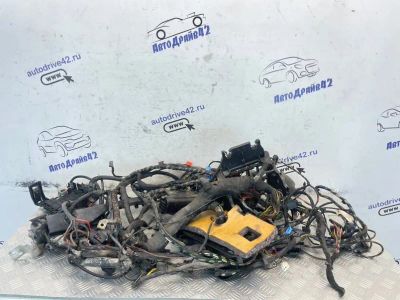 Лот: 25628416. Фото: 1. проводка подкапотная Skoda Fabia... Кузов