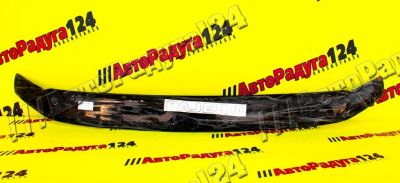 Лот: 18647948. Фото: 1. Мухобойка Mitsubishi Pajero (2006-2020... Другое (автохимия, масла, тюнинг)
