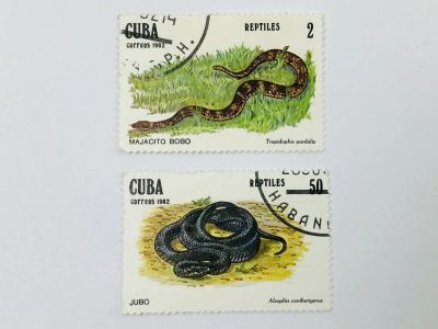 Лот: 23314521. Фото: 1. Рептилии. Леопардовый карликовый... Марки