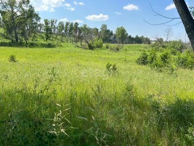 Лот: 25295548. Фото: 1. участок , ТСН Сказка ТСН Сказка... Земельные участки
