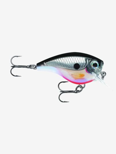 Лот: 25687570. Фото: 1. Воблер для рыбалки RAPALA BX Brat... Другое (спортивная одежда)