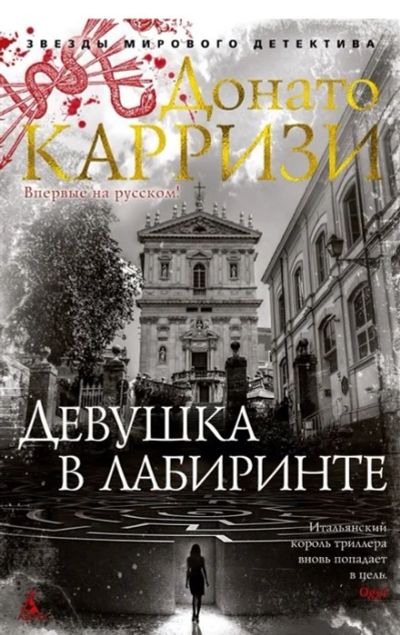 Лот: 16452812. Фото: 1. "Девушка в лабиринте" Карризи... Художественная