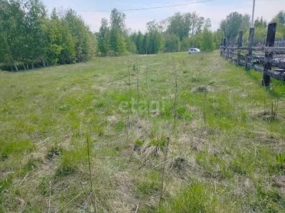 Лот: 25296170. Фото: 1. участок , деревня Терентьево деревня... Земельные участки