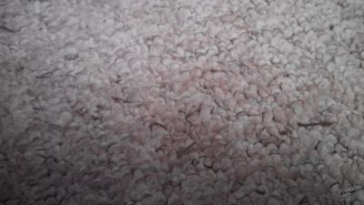 Лот: 5711704. Фото: 1. Ковровое покрытие (ковролин) 3х4... Напольные покрытия