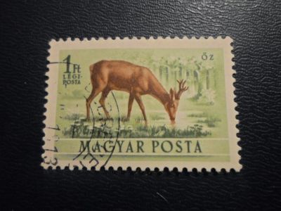 Лот: 17860918. Фото: 1. Для Вашей коллекции марка Флора... Марки