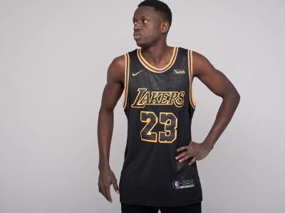 Лот: 24979655. Фото: 1. Джерси Nike Los Angeles Lakers. Футболки, поло