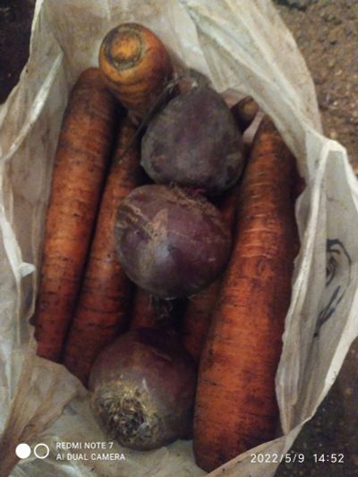 Лот: 19026221. Фото: 1. Морковь + свекла. Диетическое питание