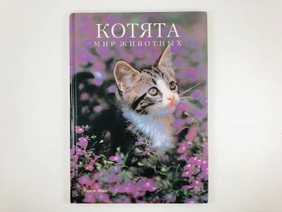 Лот: 23293396. Фото: 1. Котята. Шнек М. 1995 г. Домашние животные