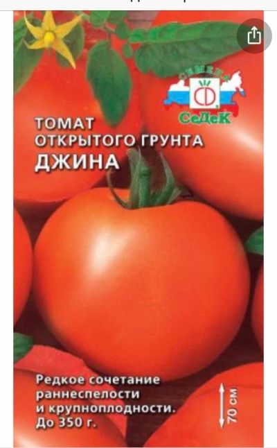 Лот: 7603857. Фото: 1. Рассада томатов сорта Джина. Овощи