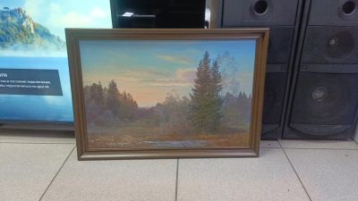 Лот: 25136123. Фото: 1. Картина маслом на холсте 66х46... Картины, рисунки