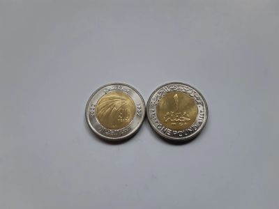 Лот: 19900890. Фото: 1. Египет 1 фунт 2022 г " Египетские... Африка