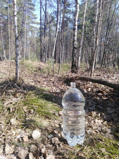 Лот: 15868535. Фото: 1. Берёзовый сок, под заказ. Готовые блюда