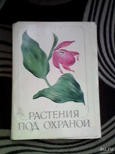 Лот: 9104824. Фото: 1. Открытки "Растения под охраной... Открытки, конверты