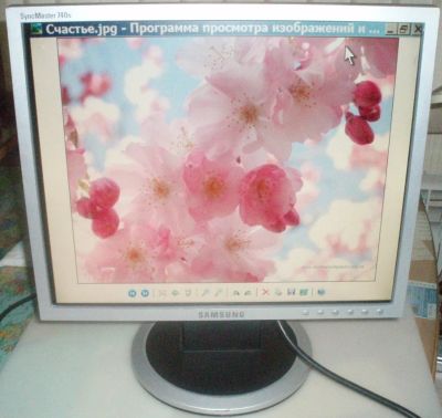 Лот: 12711123. Фото: 1. LCD монитор 17" Samsung SyncMaster... ЖК-мониторы