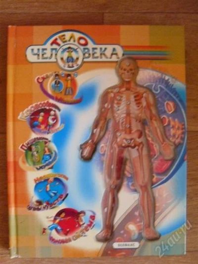 Лот: 2545390. Фото: 1. тело человека продам. Другое (детям и родителям)